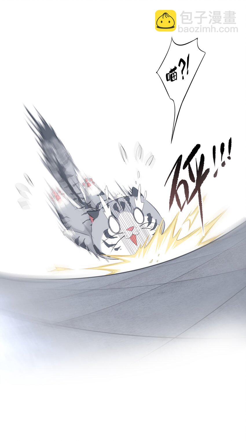 《早期驯服大猫的珍贵资料》035 rua老虎毛的手感 第38页