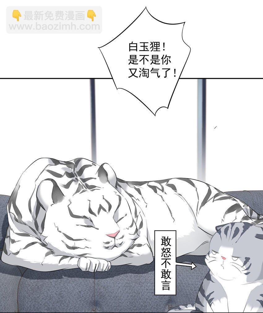 《早期驯服大猫的珍贵资料》035 rua老虎毛的手感 第40页