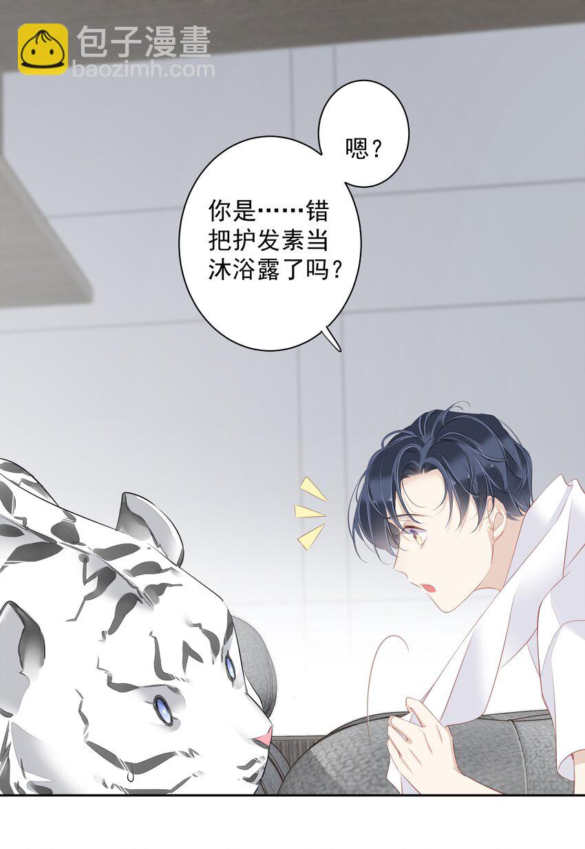 《早期驯服大猫的珍贵资料》035 rua老虎毛的手感 第43页
