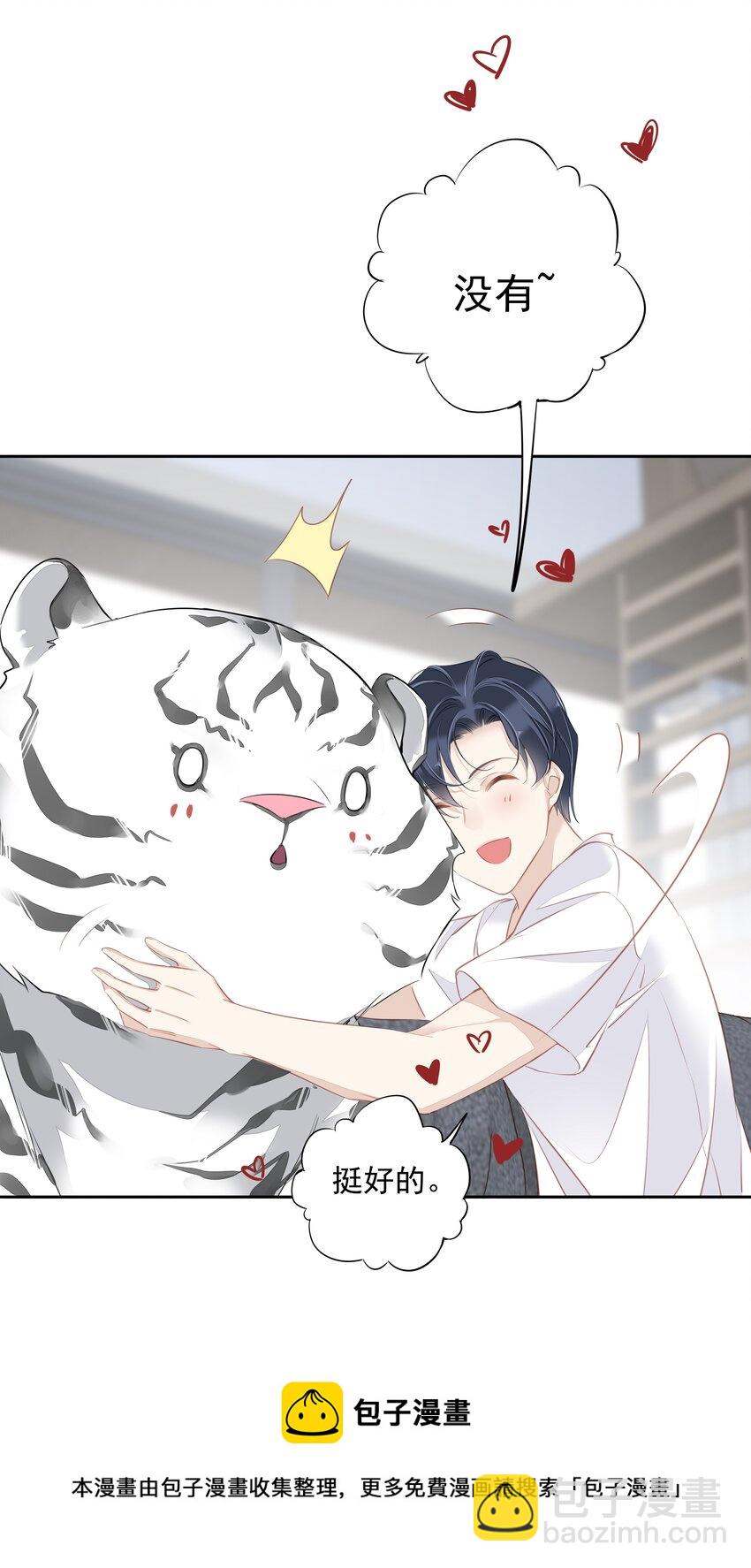 《早期驯服大猫的珍贵资料》035 rua老虎毛的手感 第45页