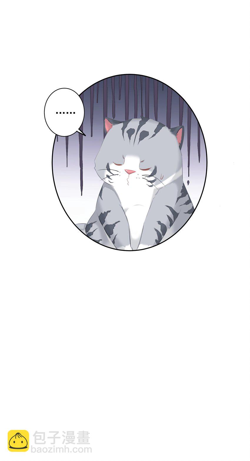 《早期驯服大猫的珍贵资料》035 rua老虎毛的手感 第48页