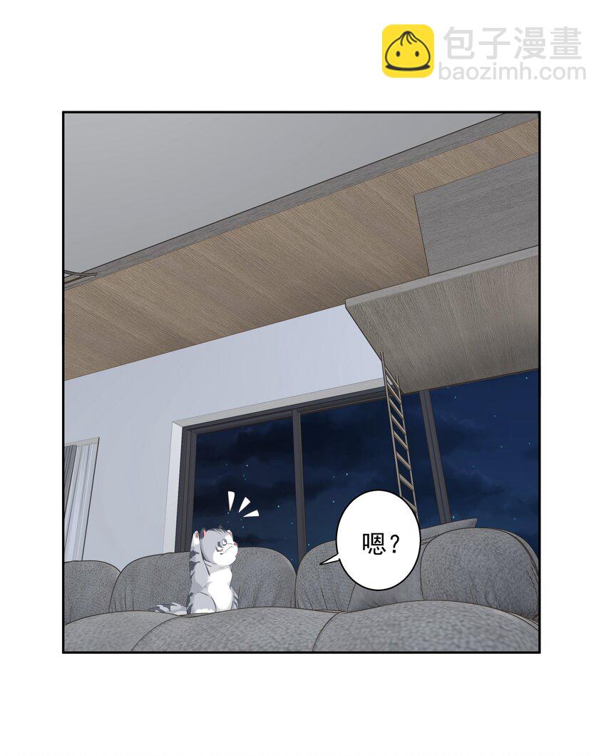 《早期驯服大猫的珍贵资料》038 好一张思春的脸 第18页