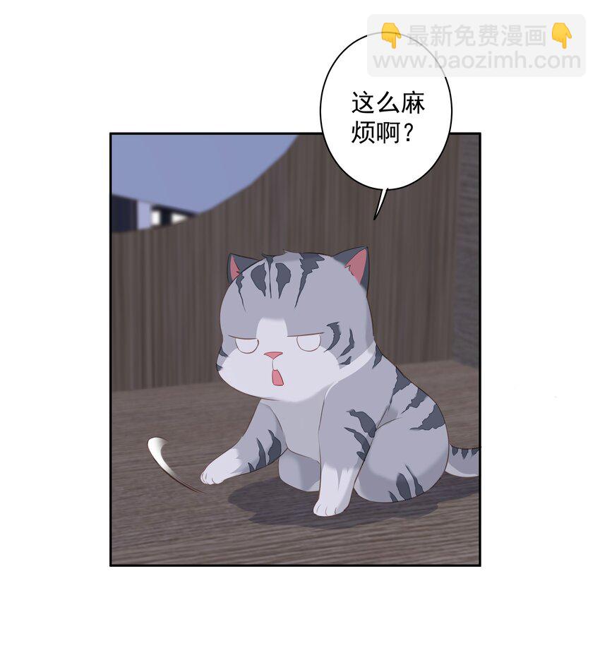 《早期驯服大猫的珍贵资料》038 好一张思春的脸 第26页