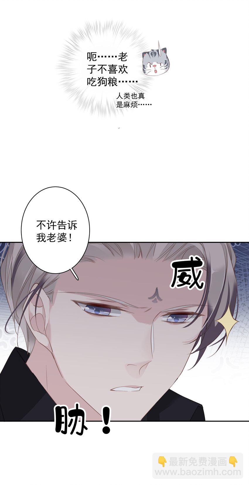 《早期驯服大猫的珍贵资料》038 好一张思春的脸 第28页