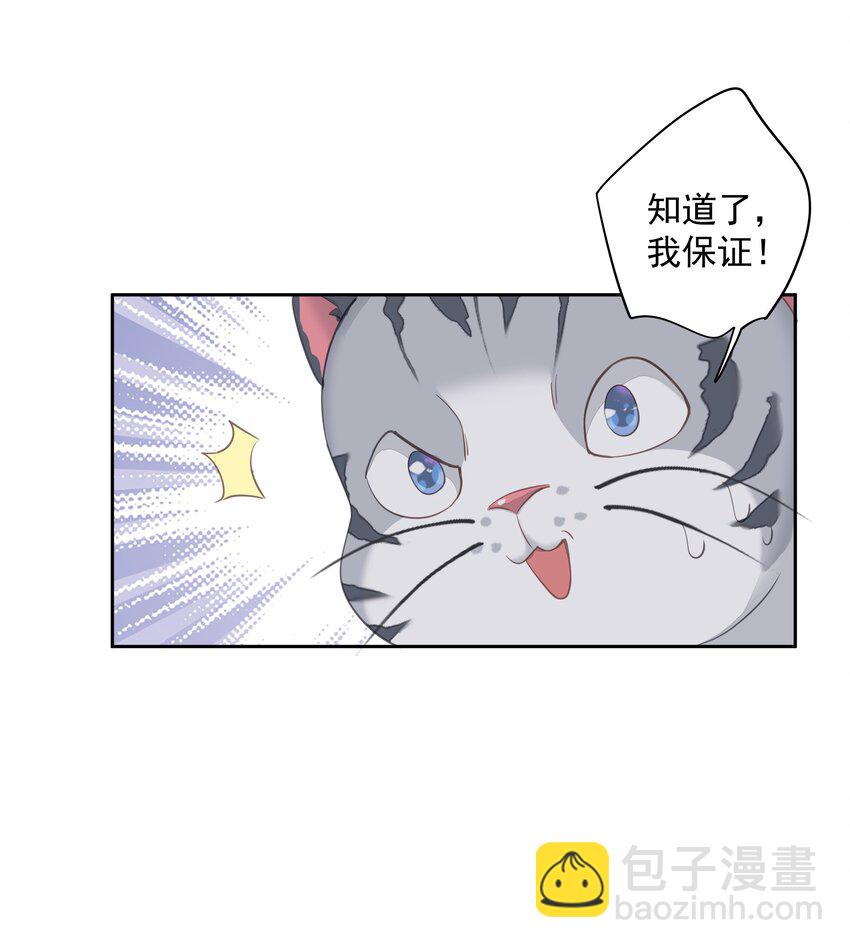 《早期驯服大猫的珍贵资料》038 好一张思春的脸 第29页