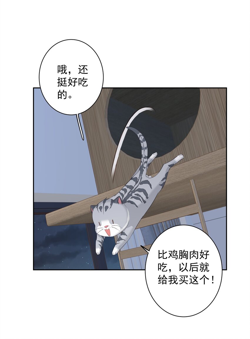 《早期驯服大猫的珍贵资料》038 好一张思春的脸 第32页