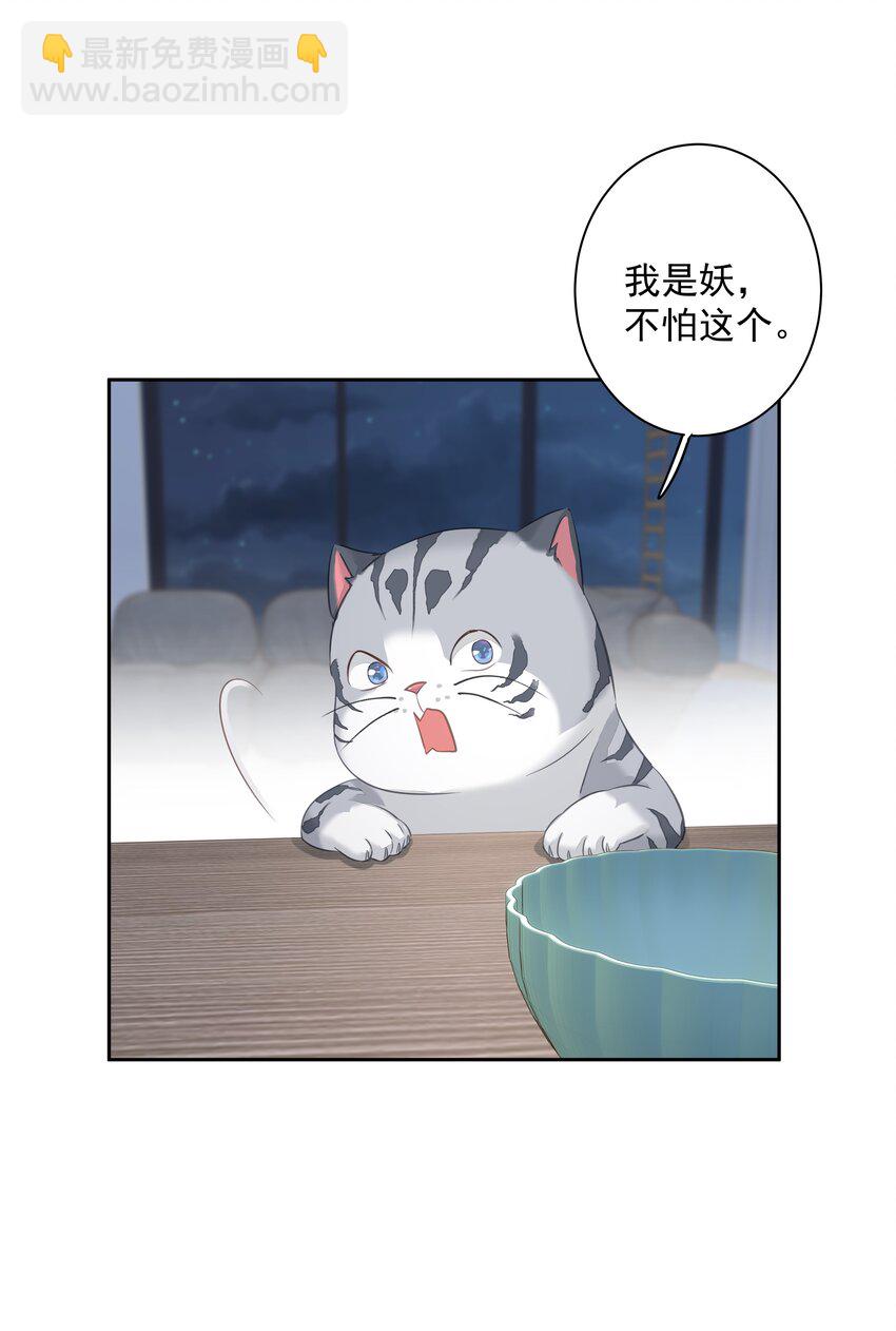 《早期驯服大猫的珍贵资料》038 好一张思春的脸 第34页