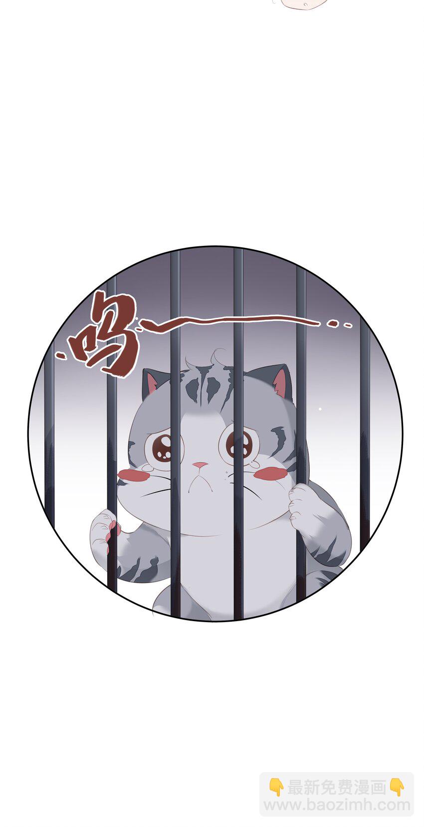 《早期驯服大猫的珍贵资料》037 你是我的天敌 第10页