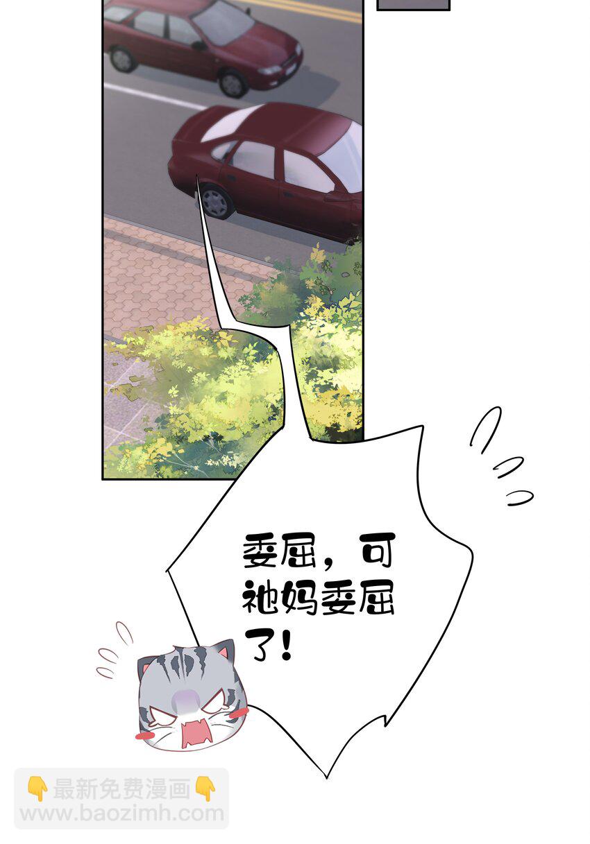 《早期驯服大猫的珍贵资料》037 你是我的天敌 第12页