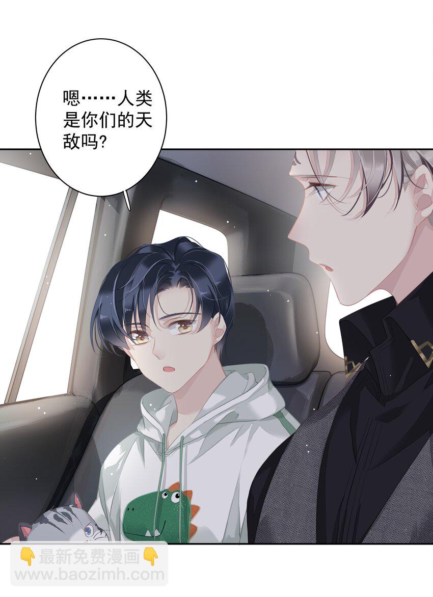 《早期驯服大猫的珍贵资料》037 你是我的天敌 第17页