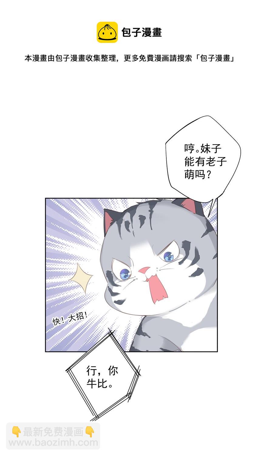 《早期驯服大猫的珍贵资料》037 你是我的天敌 第37页