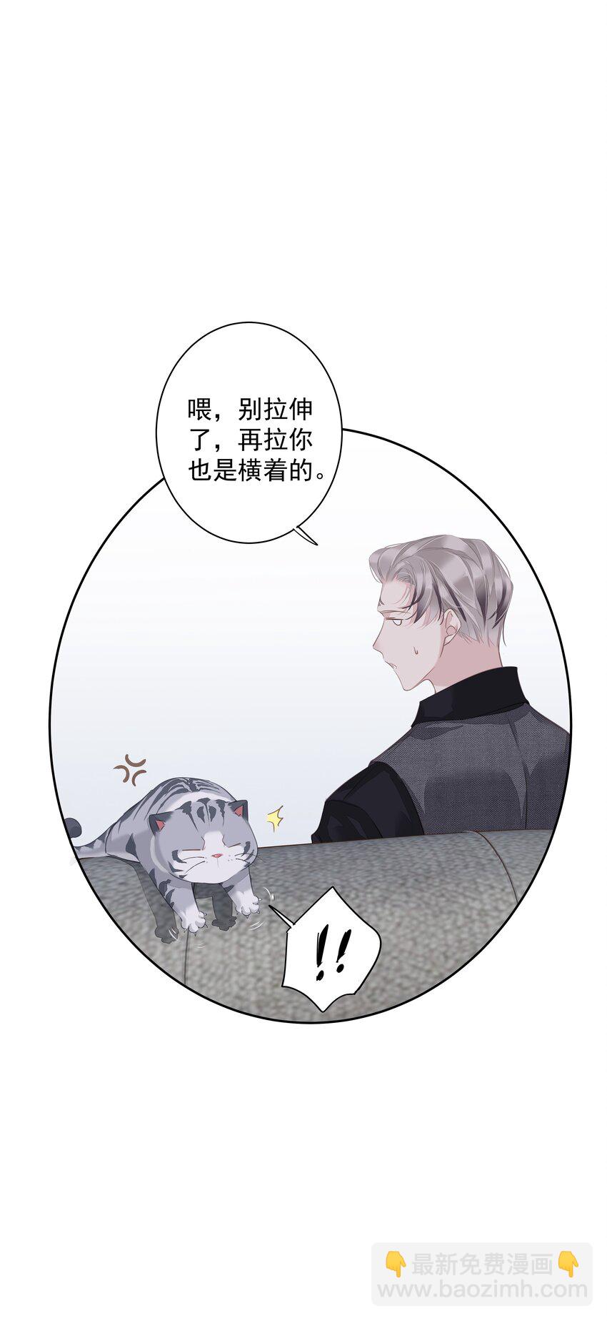 《早期驯服大猫的珍贵资料》041 让脏话猫自己找吃的 第48页