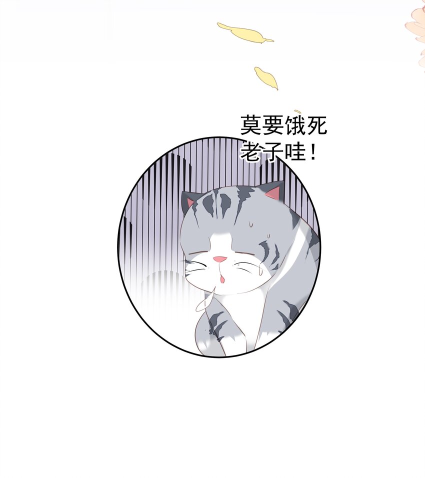《早期驯服大猫的珍贵资料》039 啵了！ 第41页