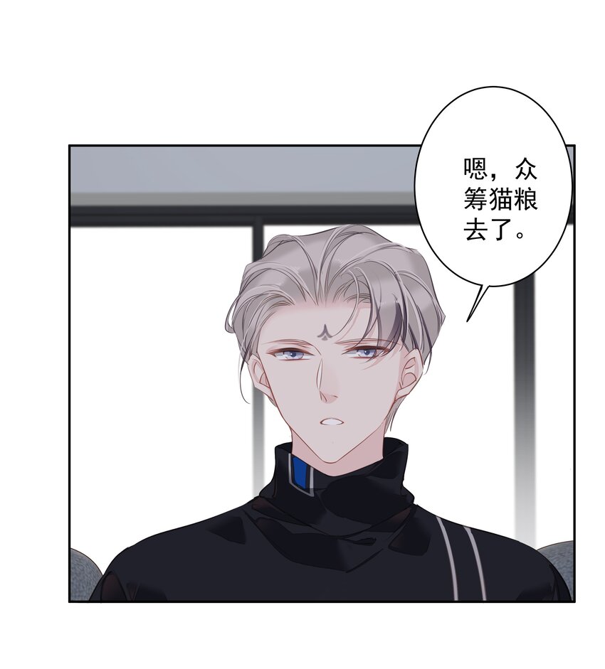 《早期驯服大猫的珍贵资料》044 众筹猫粮 第11页