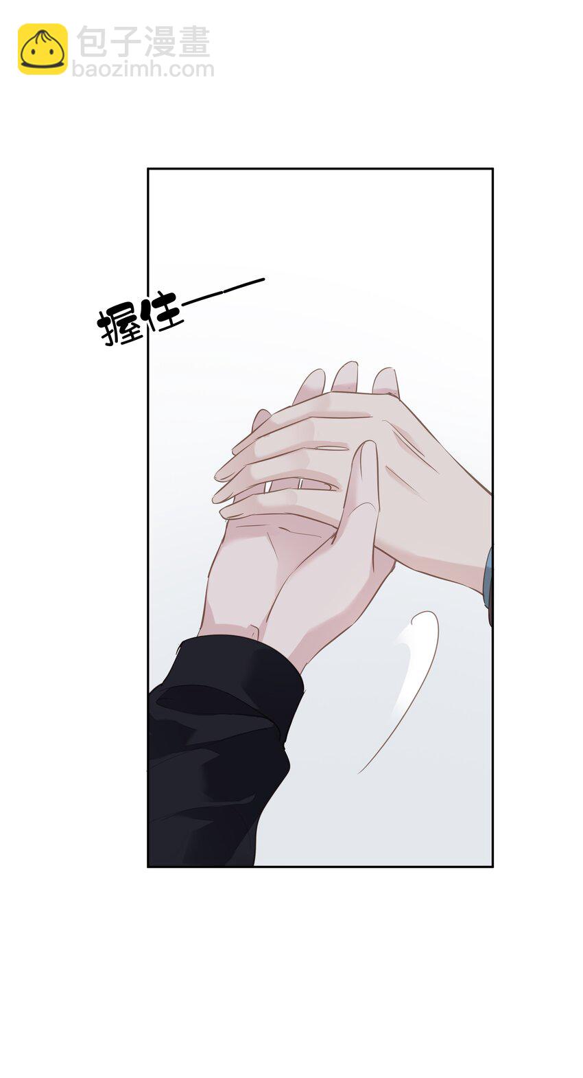 《早期驯服大猫的珍贵资料》044 众筹猫粮 第29页