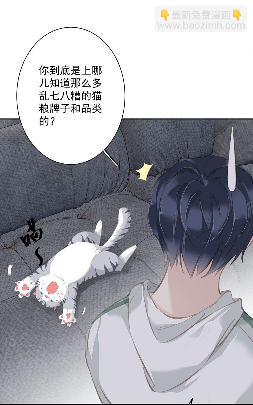 《早期驯服大猫的珍贵资料》044 众筹猫粮 第3页