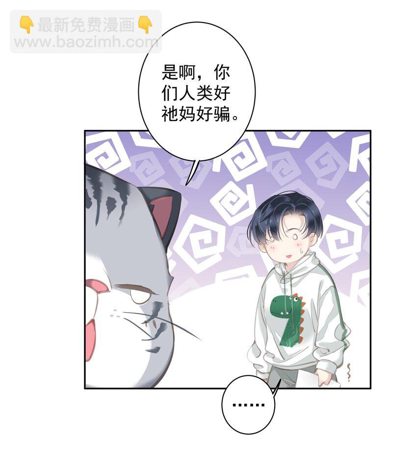 《早期驯服大猫的珍贵资料》044 众筹猫粮 第5页