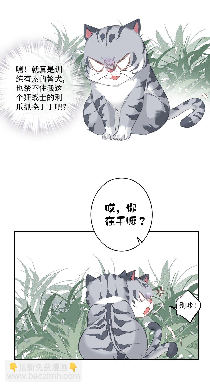 《早期驯服大猫的珍贵资料》046 你老公是伯爵啊 第45页