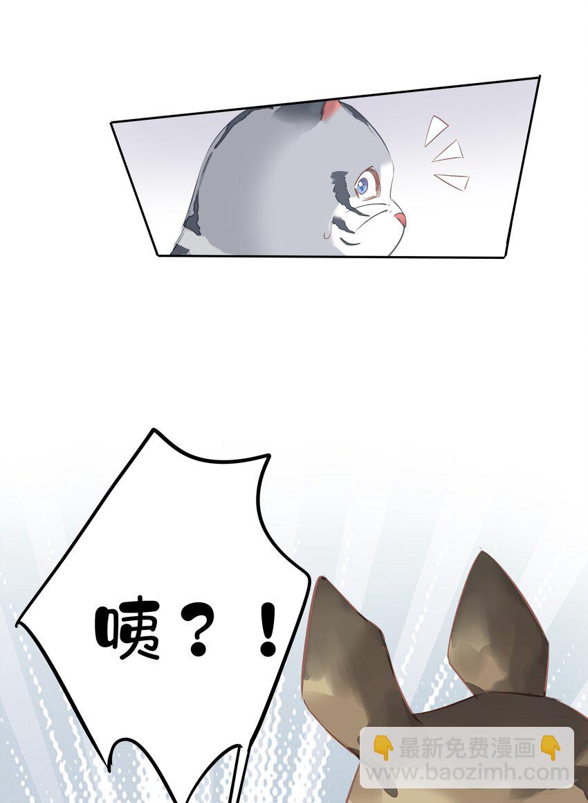 《早期驯服大猫的珍贵资料》046 你老公是伯爵啊 第46页