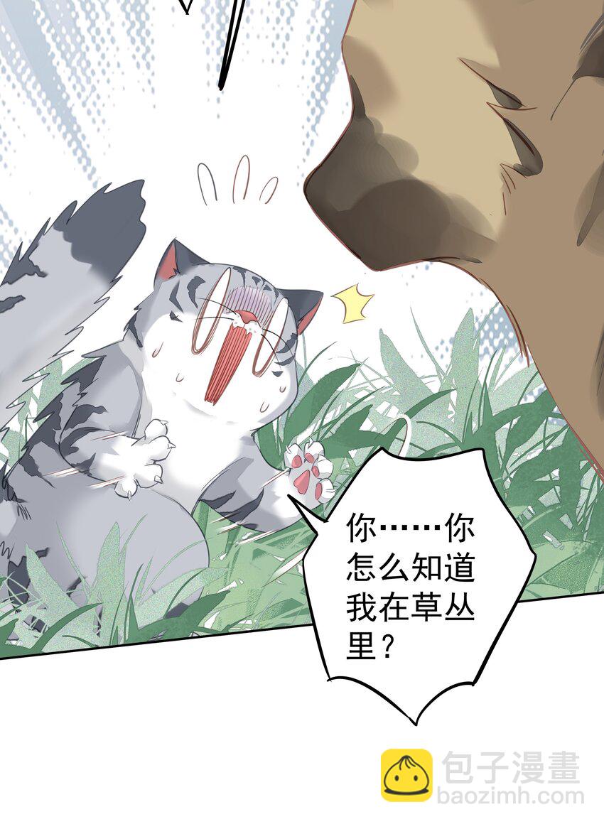 《早期驯服大猫的珍贵资料》046 你老公是伯爵啊 第47页