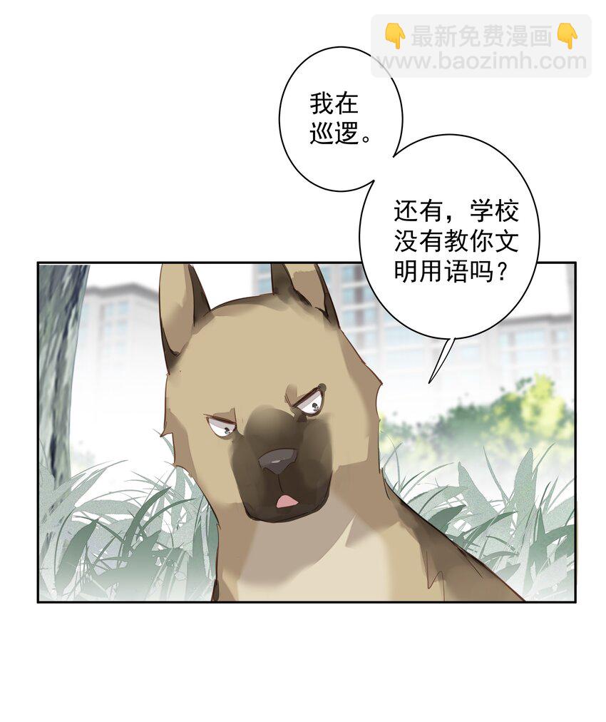 《早期驯服大猫的珍贵资料》049 我要正式和你约会 第33页