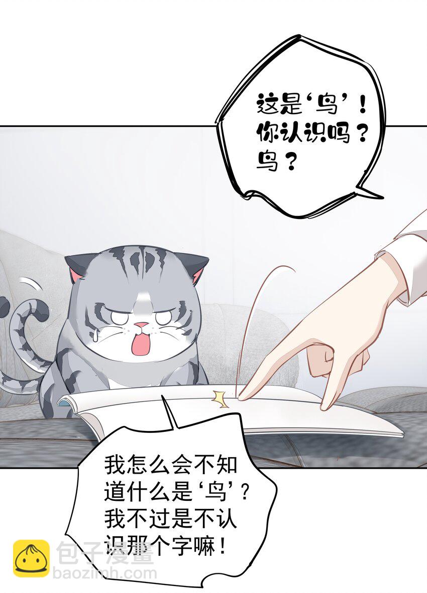 《早期驯服大猫的珍贵资料》048 我教你 第19页