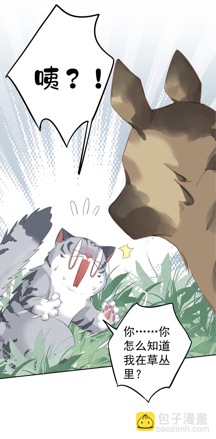 《早期驯服大猫的珍贵资料》047 白玉狸去上学 第2页