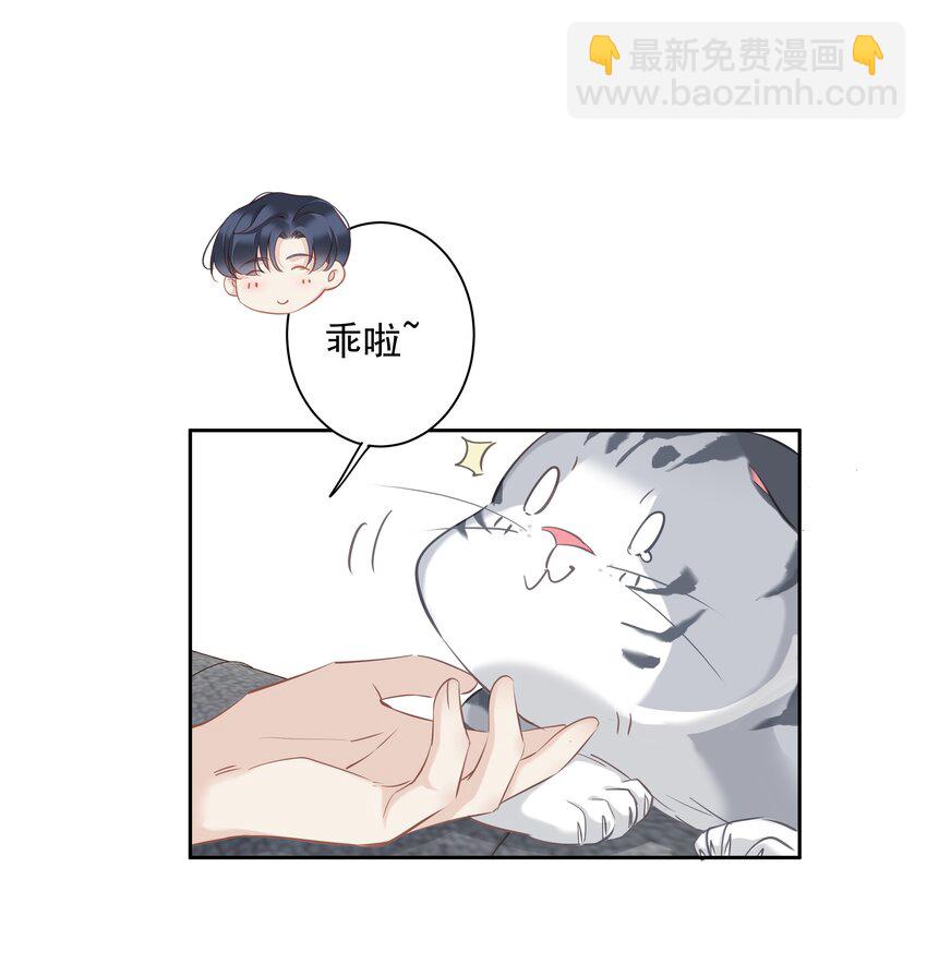 《早期驯服大猫的珍贵资料》047 白玉狸去上学 第38页