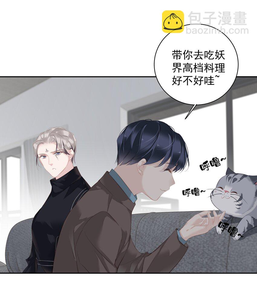 《早期驯服大猫的珍贵资料》047 白玉狸去上学 第39页