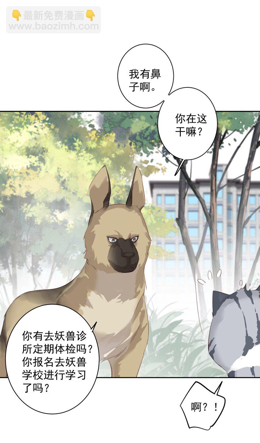 《早期驯服大猫的珍贵资料》047 白玉狸去上学 第3页