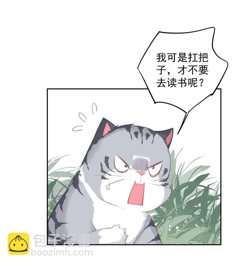 《早期驯服大猫的珍贵资料》047 白玉狸去上学 第4页