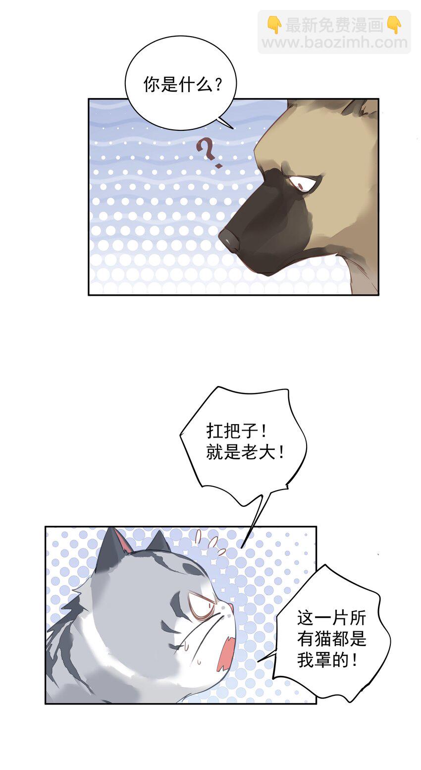 《早期驯服大猫的珍贵资料》047 白玉狸去上学 第5页