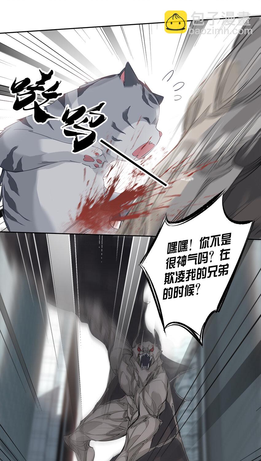 《早期驯服大猫的珍贵资料》053 另一个思睿？ 第20页