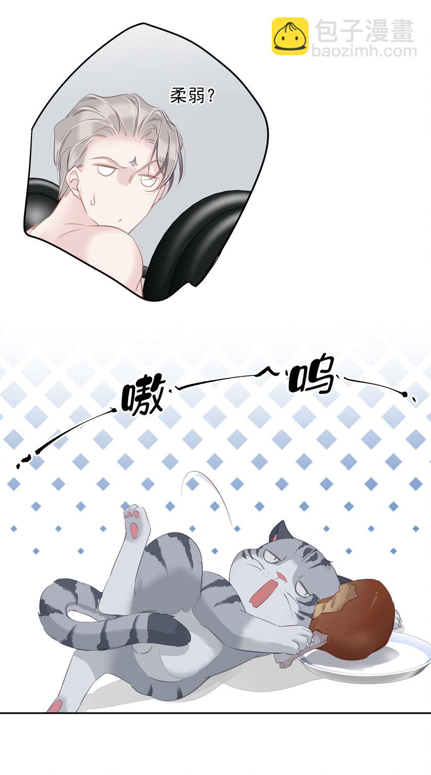 《早期驯服大猫的珍贵资料》052 机密文件？ 第19页