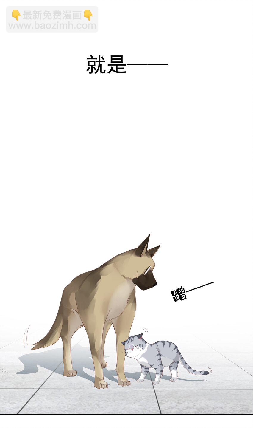 《早期驯服大猫的珍贵资料》052 机密文件？ 第24页