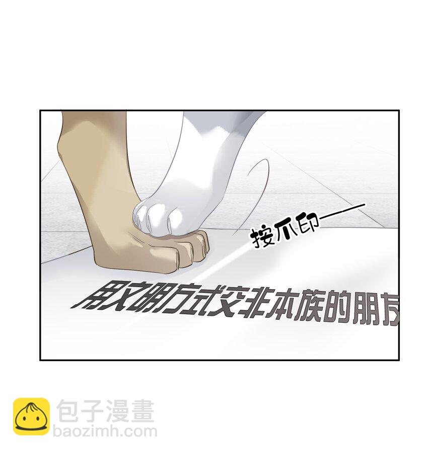 《早期驯服大猫的珍贵资料》052 机密文件？ 第25页