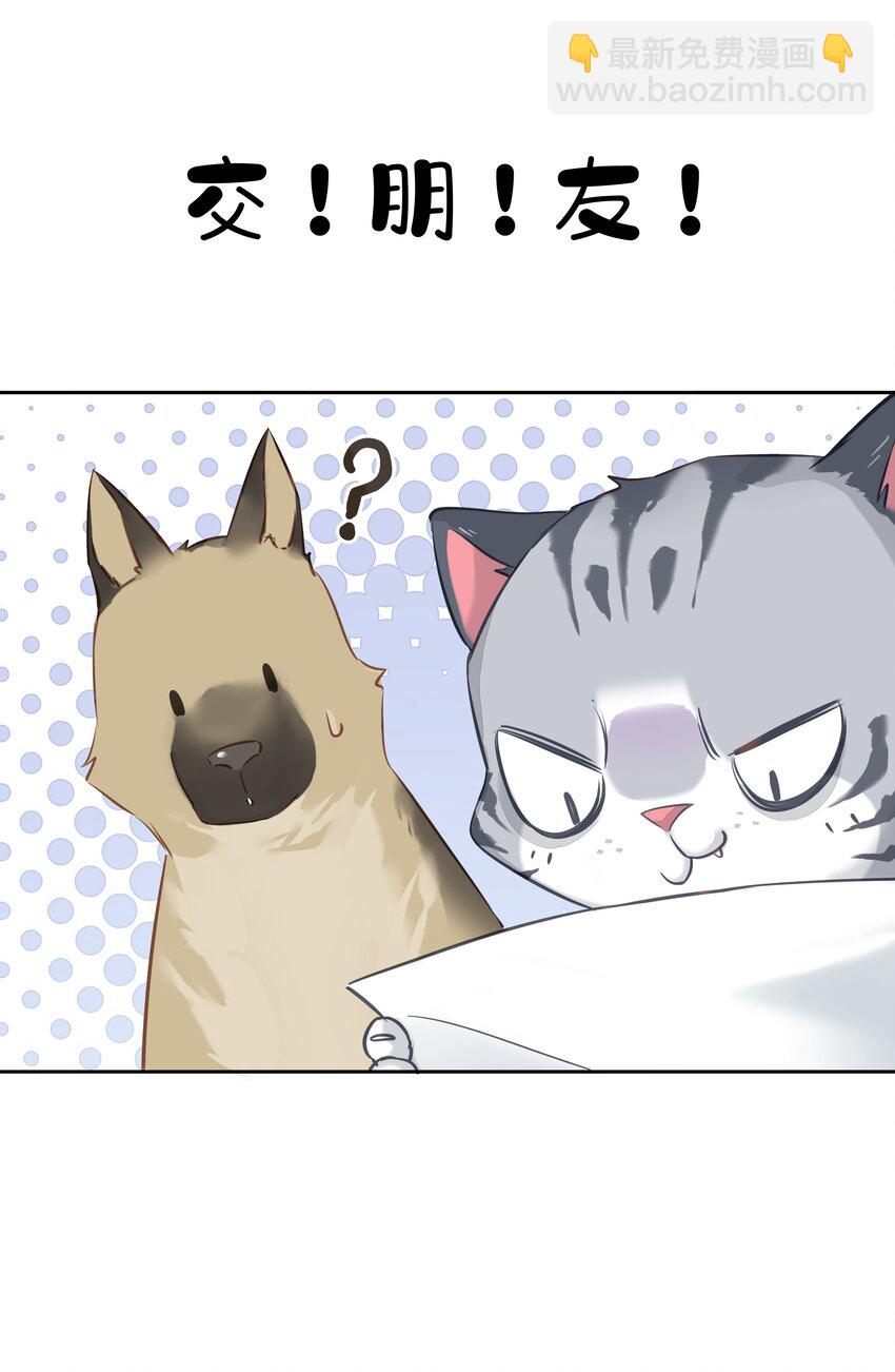 《早期驯服大猫的珍贵资料》052 机密文件？ 第26页