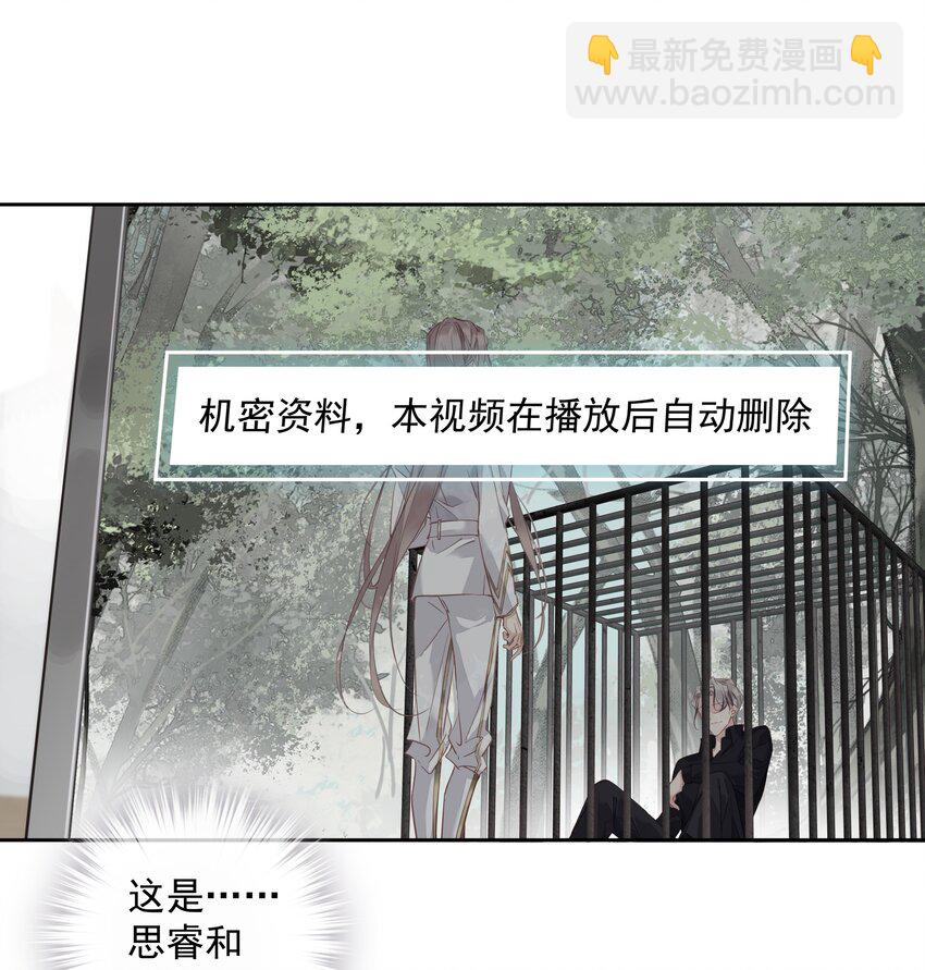 《早期驯服大猫的珍贵资料》052 机密文件？ 第29页