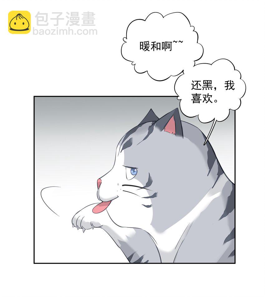 《早期驯服大猫的珍贵资料》051 你只能看着我 第5页