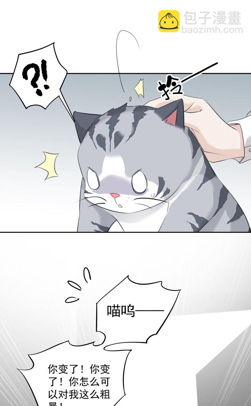 《早期驯服大猫的珍贵资料》051 你只能看着我 第6页