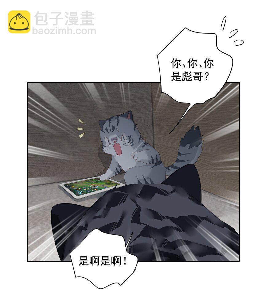 《早期驯服大猫的珍贵资料》054 狂萌！是我阿彪儿（番外） 第10页