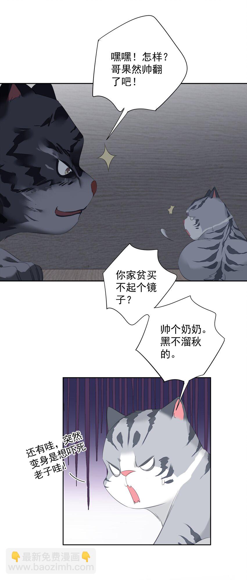 《早期驯服大猫的珍贵资料》054 狂萌！是我阿彪儿（番外） 第11页