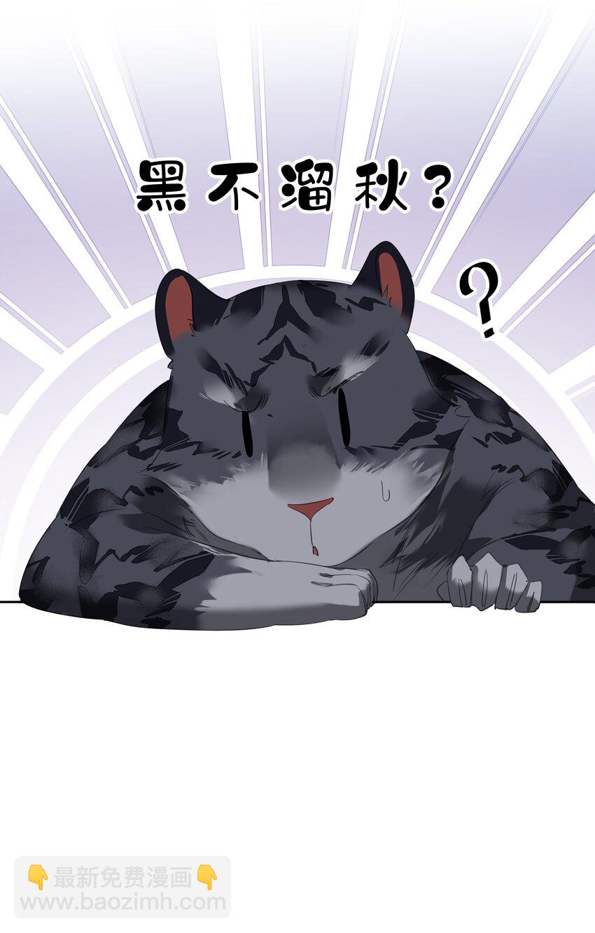 《早期驯服大猫的珍贵资料》054 狂萌！是我阿彪儿（番外） 第12页