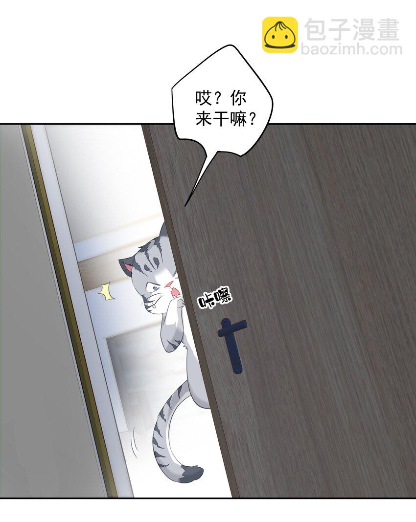 《早期驯服大猫的珍贵资料》054 狂萌！是我阿彪儿（番外） 第18页