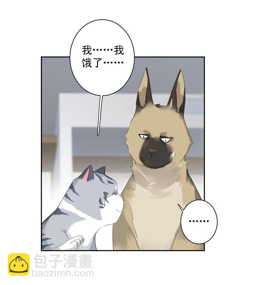 《早期驯服大猫的珍贵资料》054 狂萌！是我阿彪儿（番外） 第23页