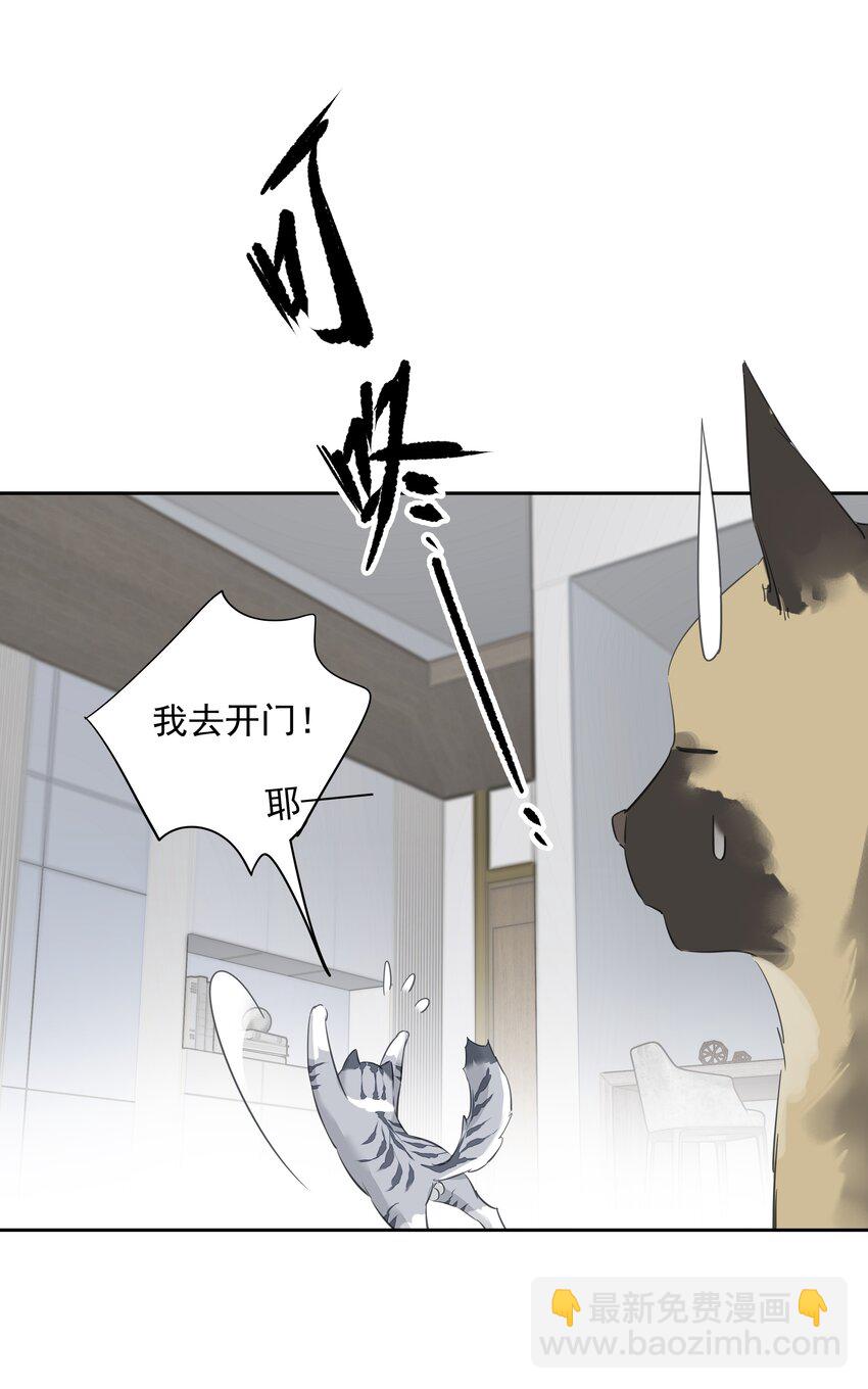 《早期驯服大猫的珍贵资料》054 狂萌！是我阿彪儿（番外） 第24页