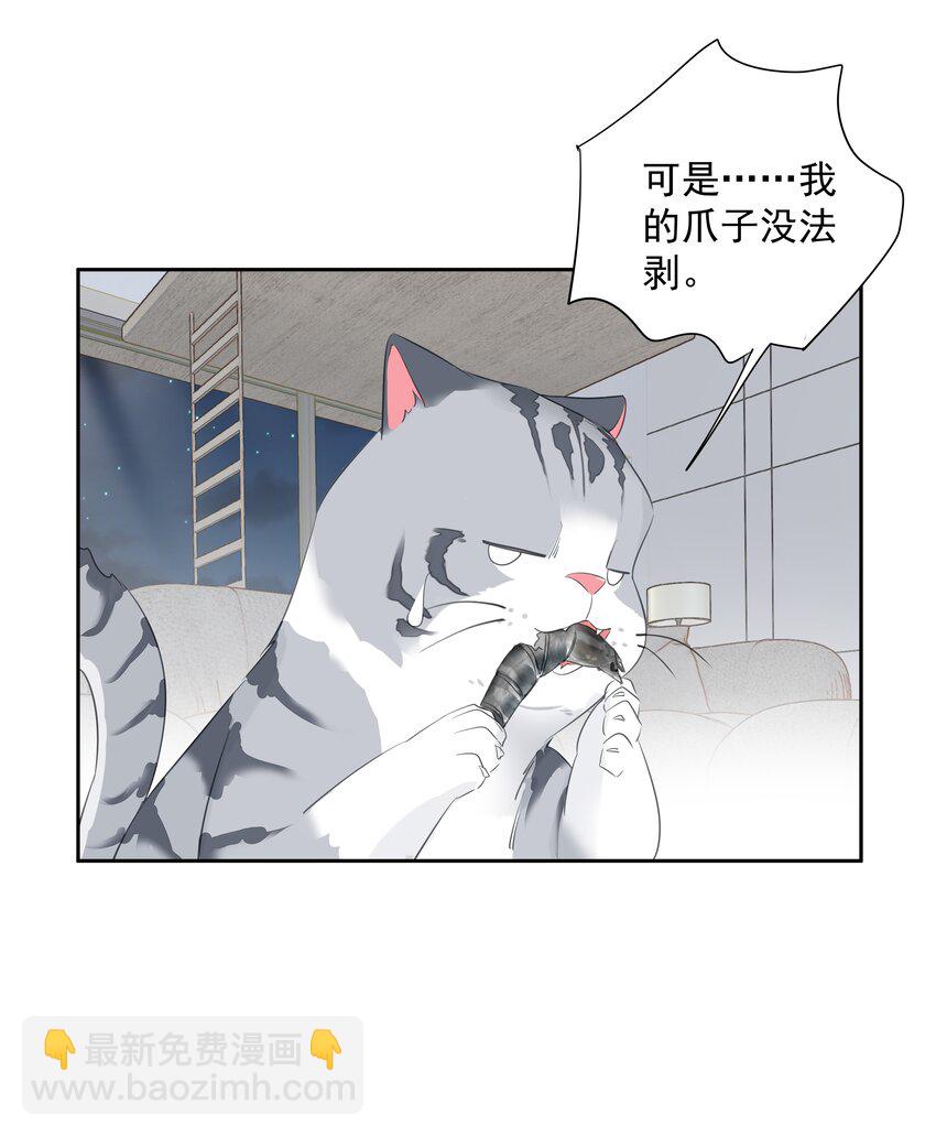 《早期驯服大猫的珍贵资料》054 狂萌！是我阿彪儿（番外） 第27页