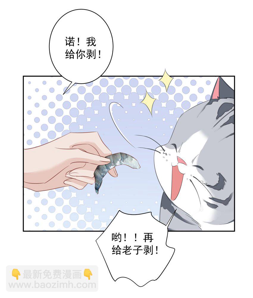 《早期驯服大猫的珍贵资料》054 狂萌！是我阿彪儿（番外） 第29页