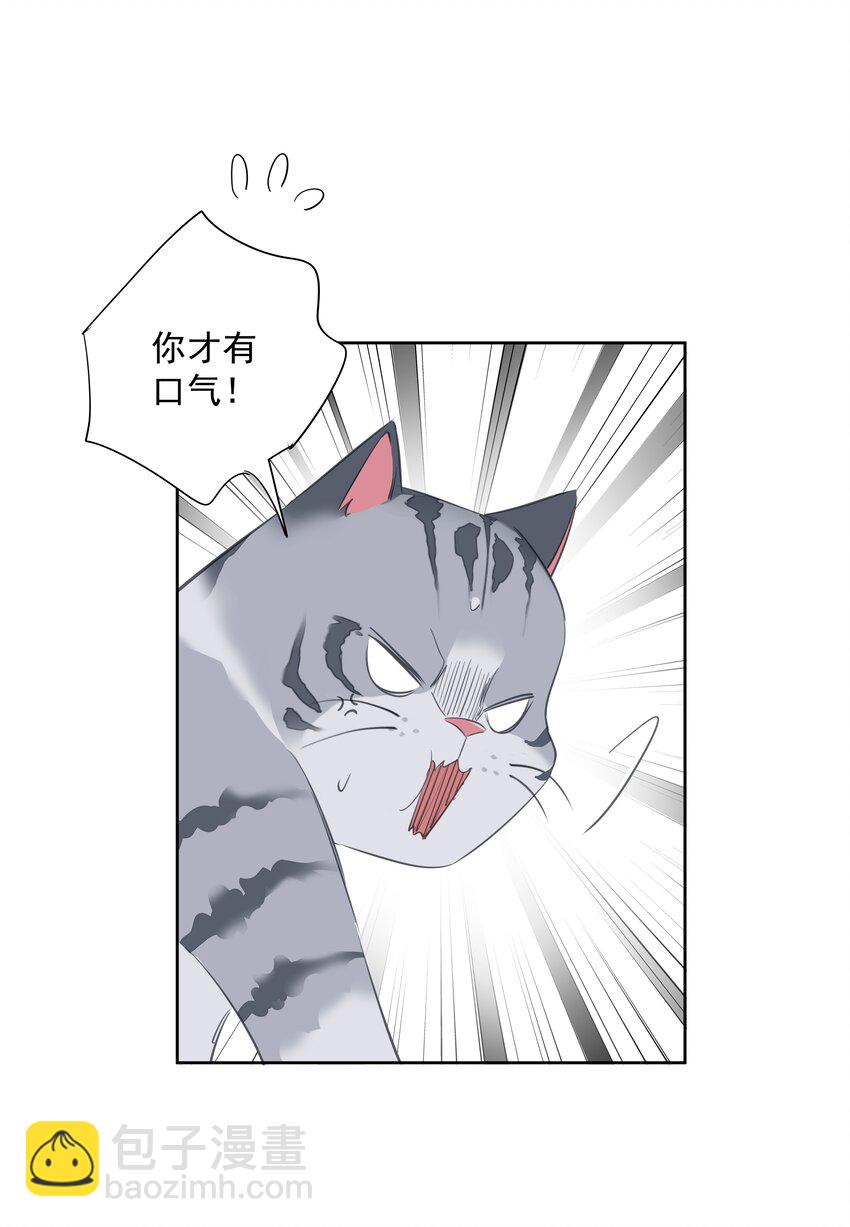 《早期驯服大猫的珍贵资料》054 狂萌！是我阿彪儿（番外） 第31页