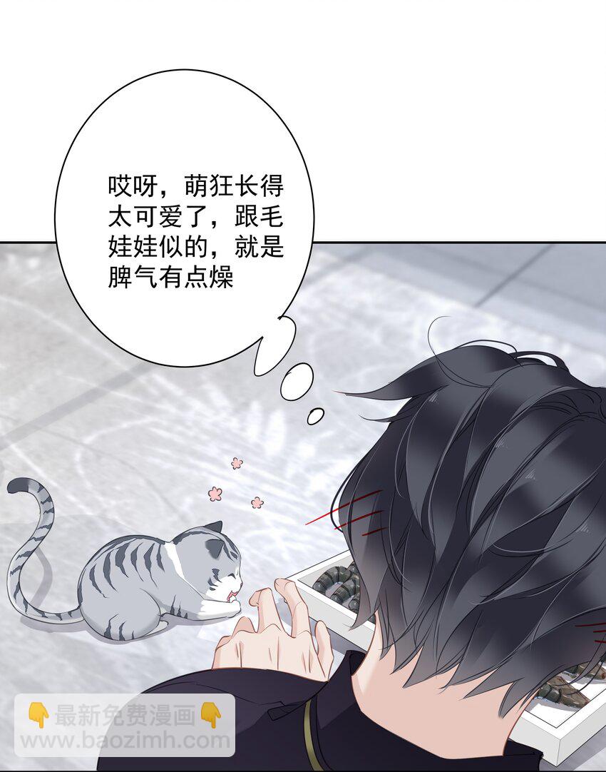《早期驯服大猫的珍贵资料》054 狂萌！是我阿彪儿（番外） 第32页